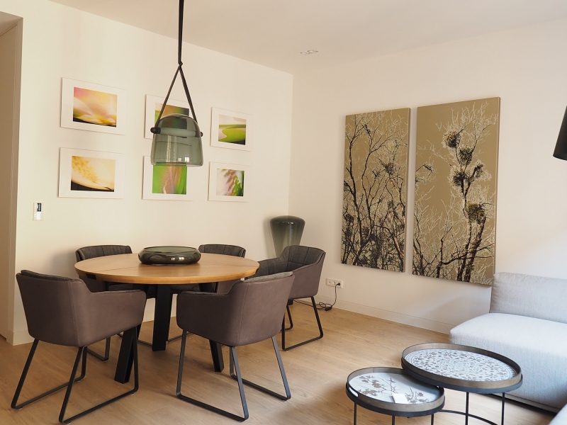 ROYAL-HAMILIUS: L'Appartement témoin vous attend !